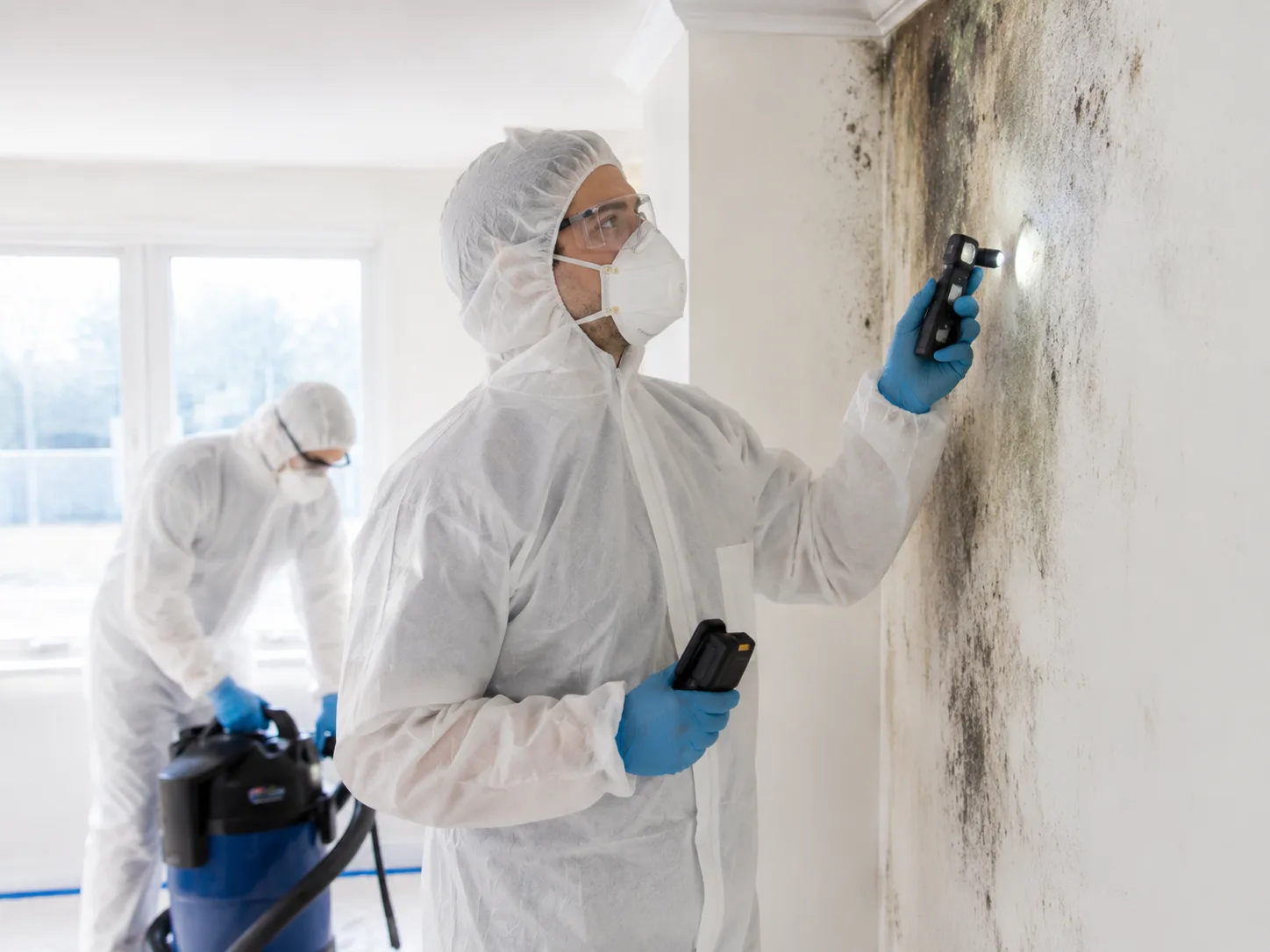 Mold removal service in Goshen, IN