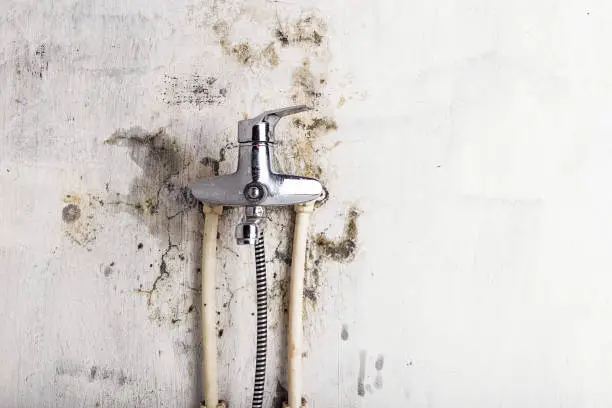 Mold Removal service in Michigan City, IN