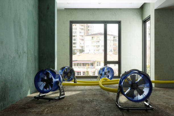 Water damage restoration importance for properties in South Bend, Indiana